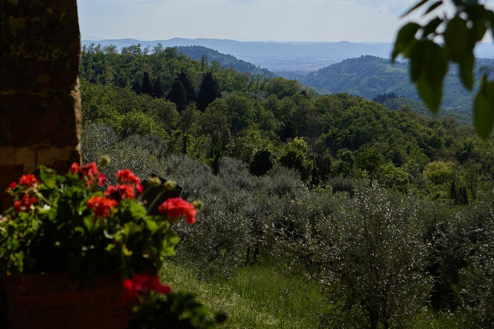 Vila Fattoria Poggio Di Fiesole Exteriér fotografie